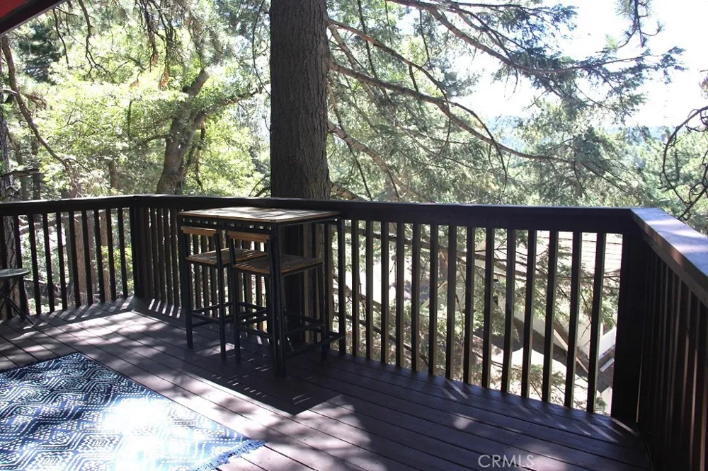 31705 Silver Spruce Drive Running Springs, CA 92382