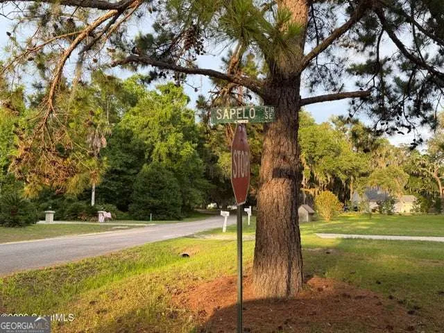 119 Sapelo Circle Darien, GA 31305