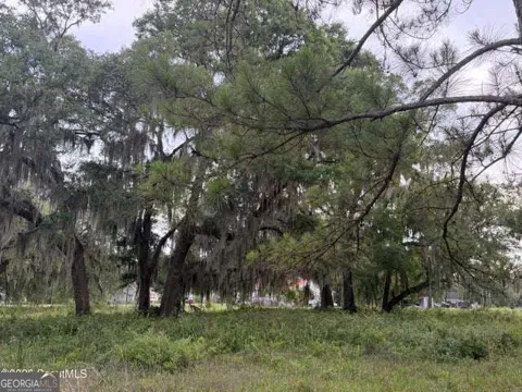 119 Sapelo Circle