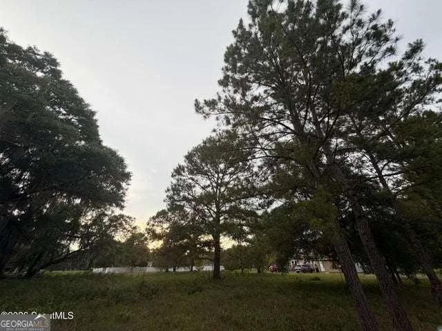 119 Sapelo Circle Darien, GA 31305