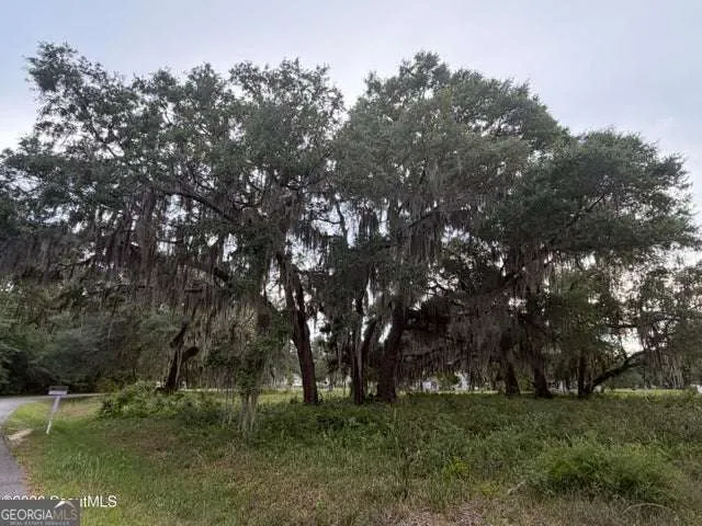 119 Sapelo Circle Darien, GA 31305