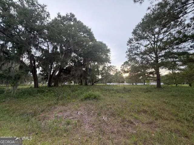 119 Sapelo Circle Darien, GA 31305
