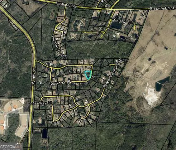 119 Sapelo Circle Darien, GA 31305