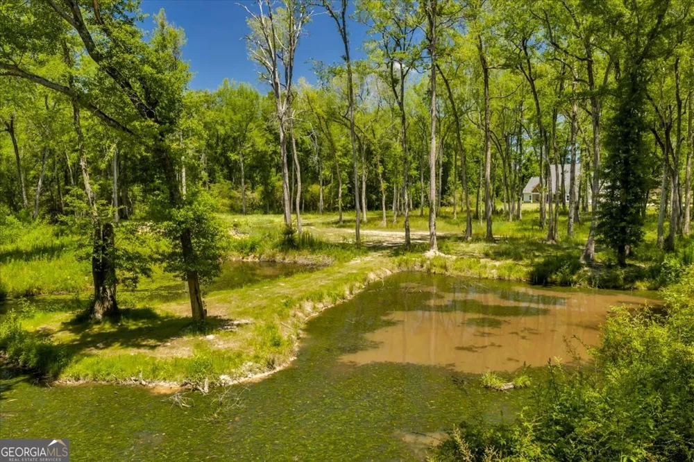 466 Bear Branch RD Kathleen, GA 31047