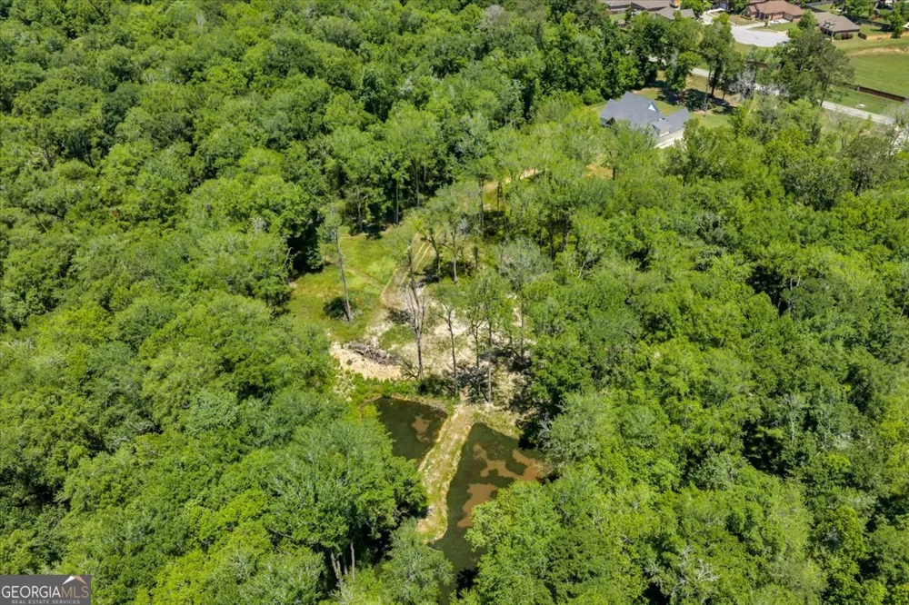466 Bear Branch RD Kathleen, GA 31047