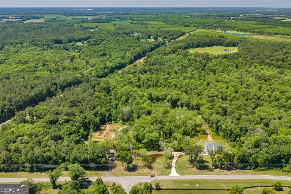 466 Bear Branch RD Kathleen, GA 31047