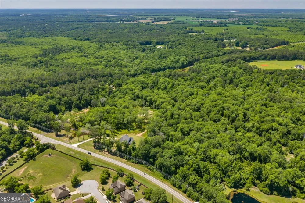 466 Bear Branch RD Kathleen, GA 31047