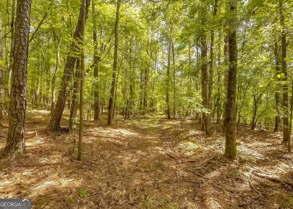 1251 Crumbley RD McDonough, GA 30252