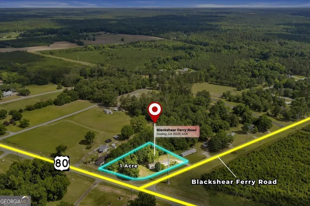 1295 Blackshear Ferry RD Dudley, GA 31022