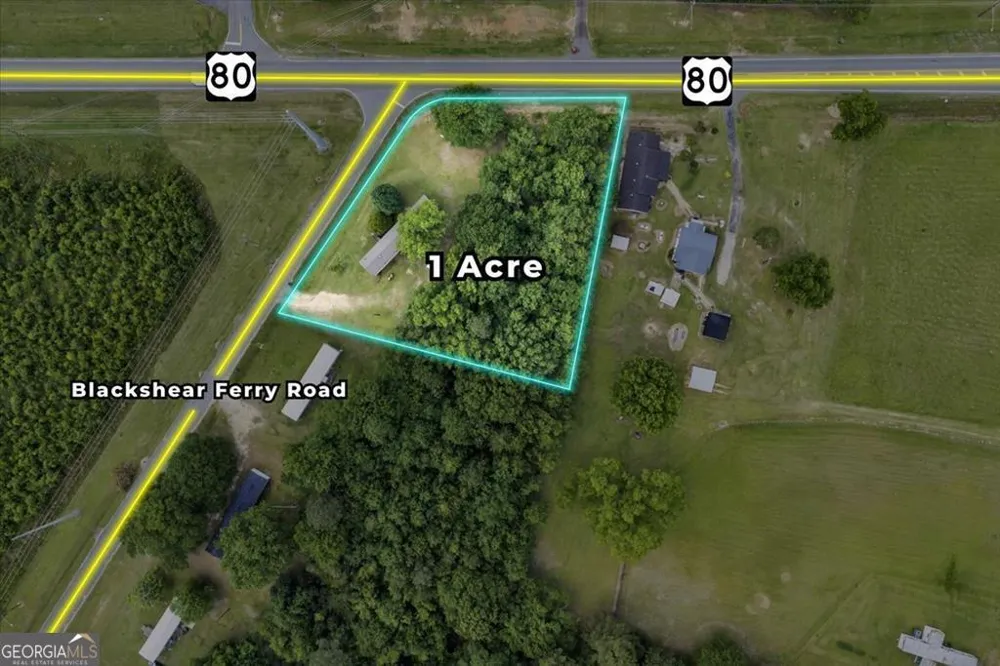 1295 Blackshear Ferry RD Dudley, GA 31022