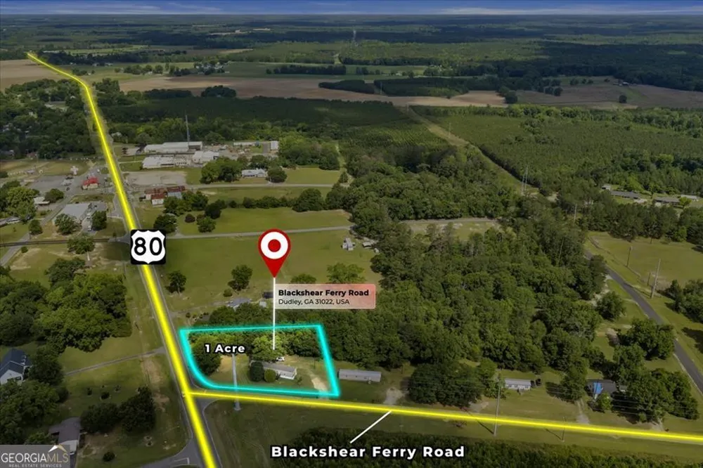 1295 Blackshear Ferry RD Dudley, GA 31022