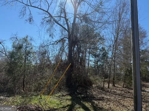 0 Wragler Trail (lot)