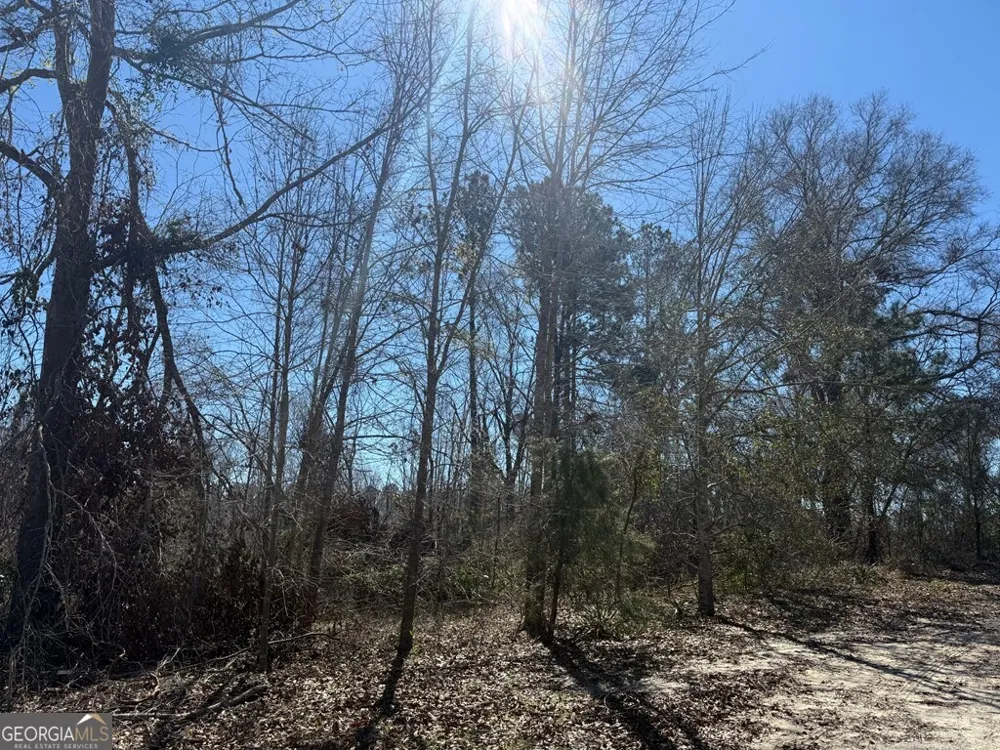0 Wragler Trail (lot) Hazlehurst, GA 31539