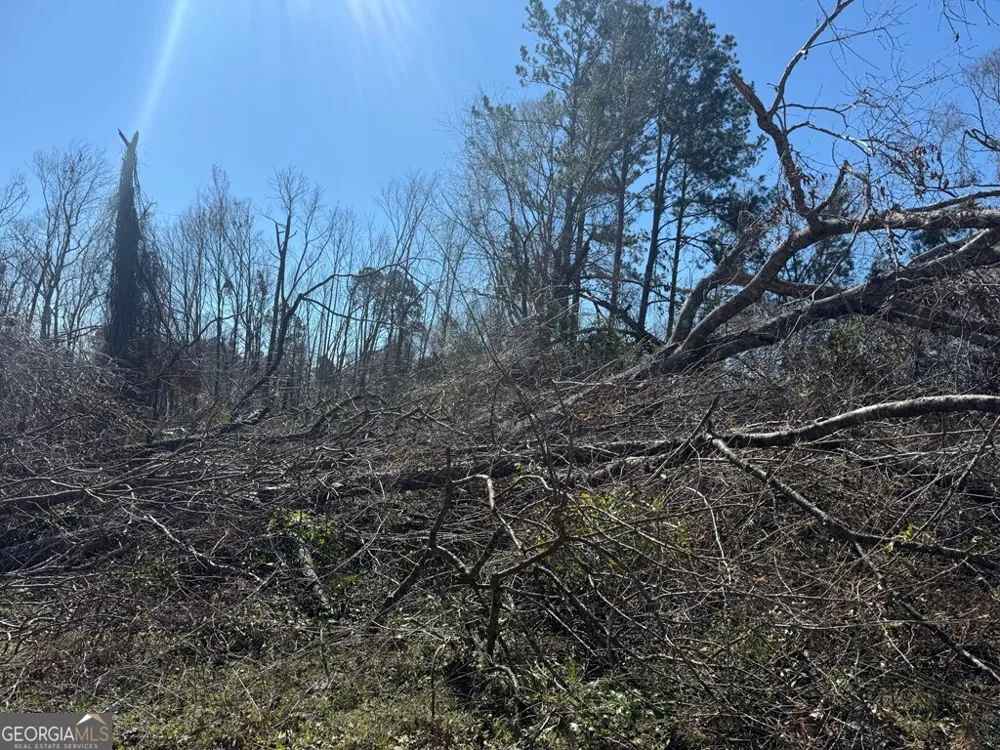 0 Wragler Trail (lot) Hazlehurst, GA 31539