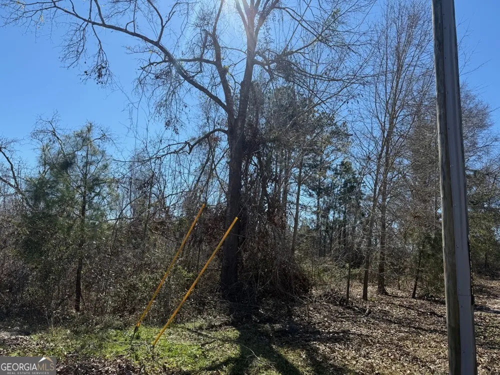 0 Wragler Trail (lot) Hazlehurst, GA 31539