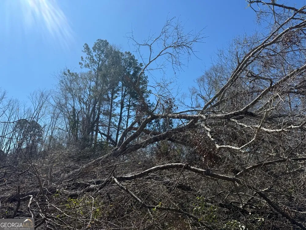 0 Wragler Trail (lot) Hazlehurst, GA 31539