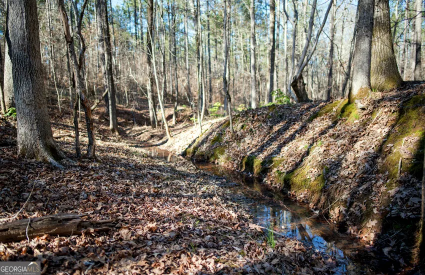 1081 Apalachee Ridge Madison, GA 30650