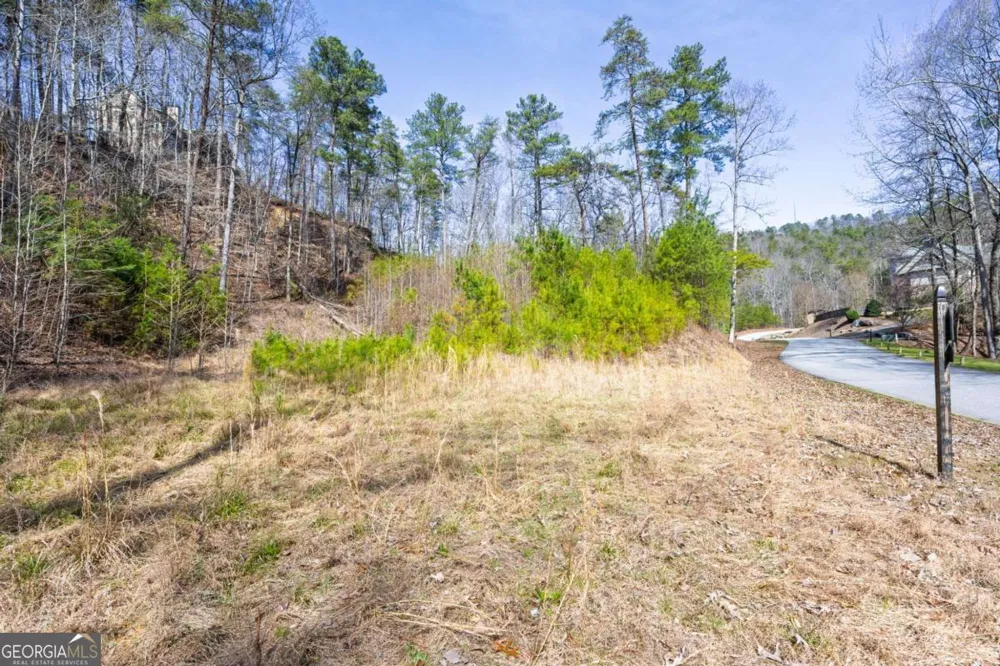 53 Somerset LN Cartersville, GA 30121
