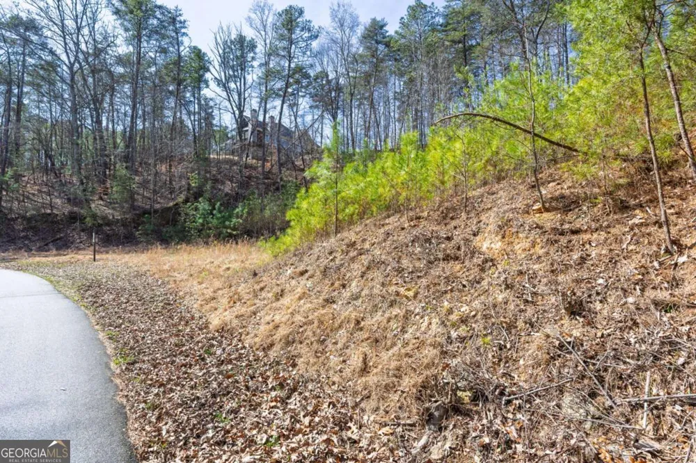 53 Somerset LN Cartersville, GA 30121