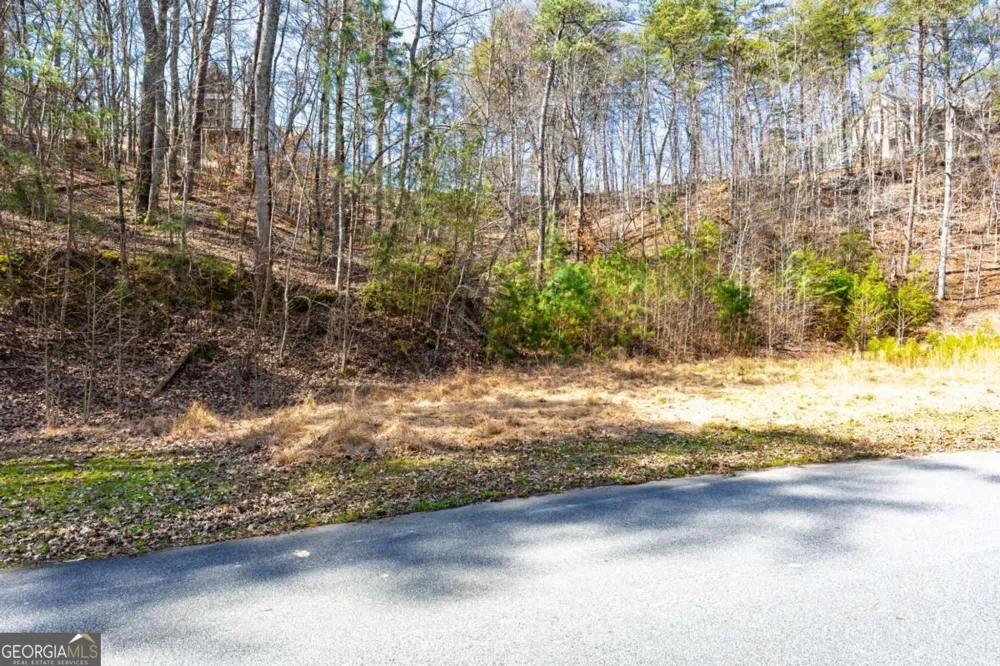 53 Somerset LN Cartersville, GA 30121