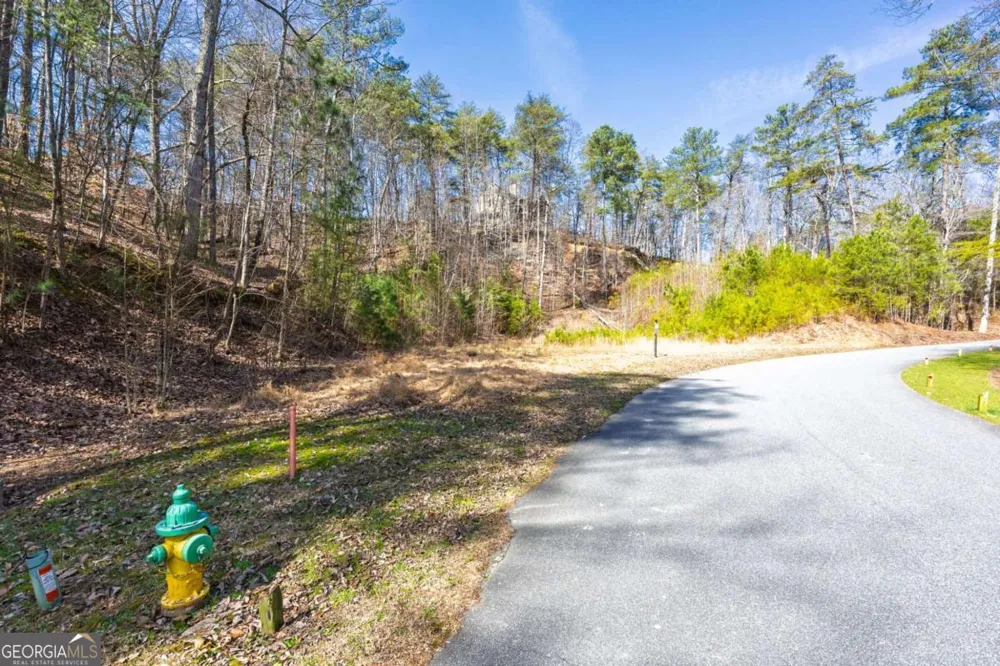 53 Somerset LN Cartersville, GA 30121