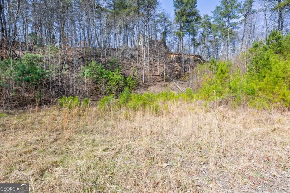 53 Somerset LN Cartersville, GA 30121