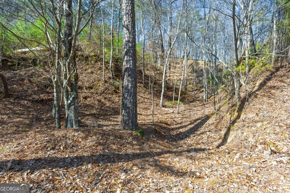 53 Somerset LN Cartersville, GA 30121
