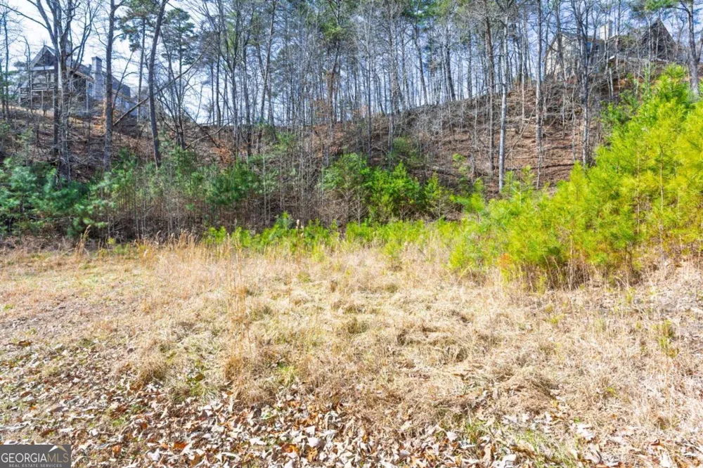53 Somerset LN Cartersville, GA 30121