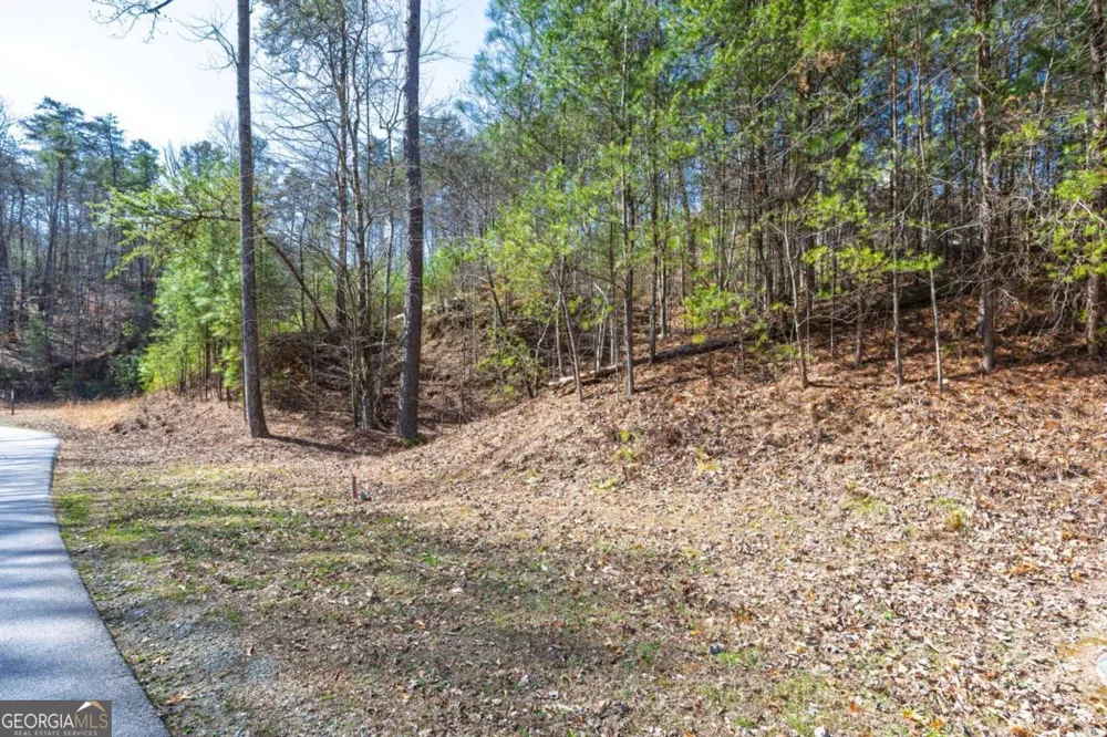 53 Somerset LN Cartersville, GA 30121