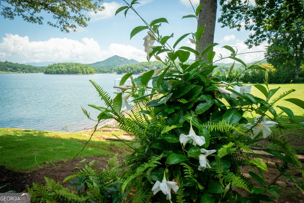 313 Omega WAY Hiawassee, GA 30546