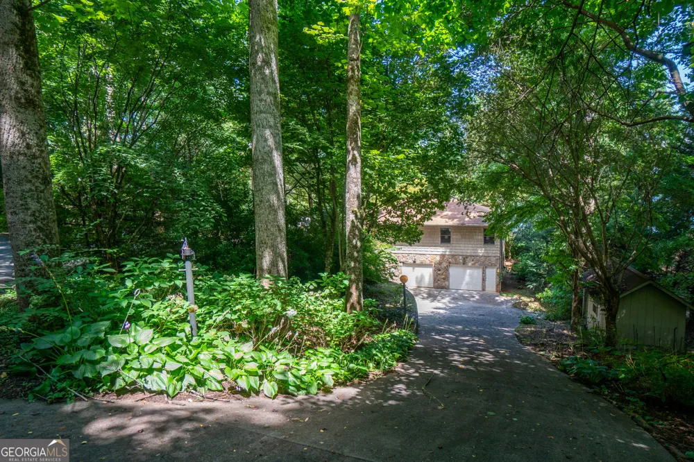 313 Omega WAY Hiawassee, GA 30546