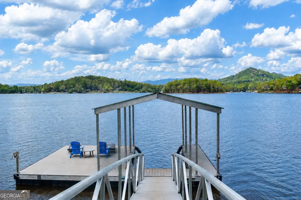 313 Omega WAY Hiawassee, GA 30546