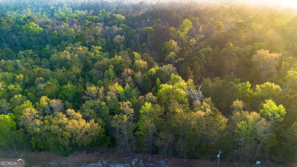 0 Little Mccall RD Rincon, GA 31326