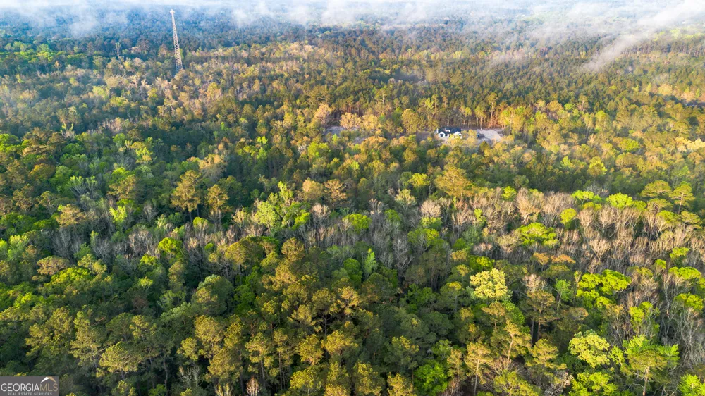 0 Little Mccall RD Rincon, GA 31326