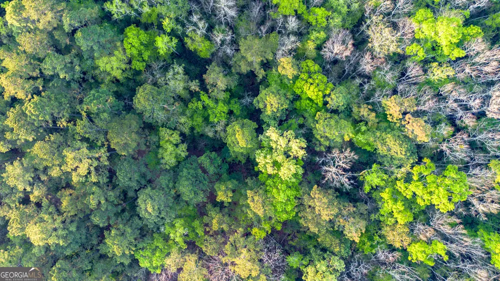 0 Little Mccall RD Rincon, GA 31326
