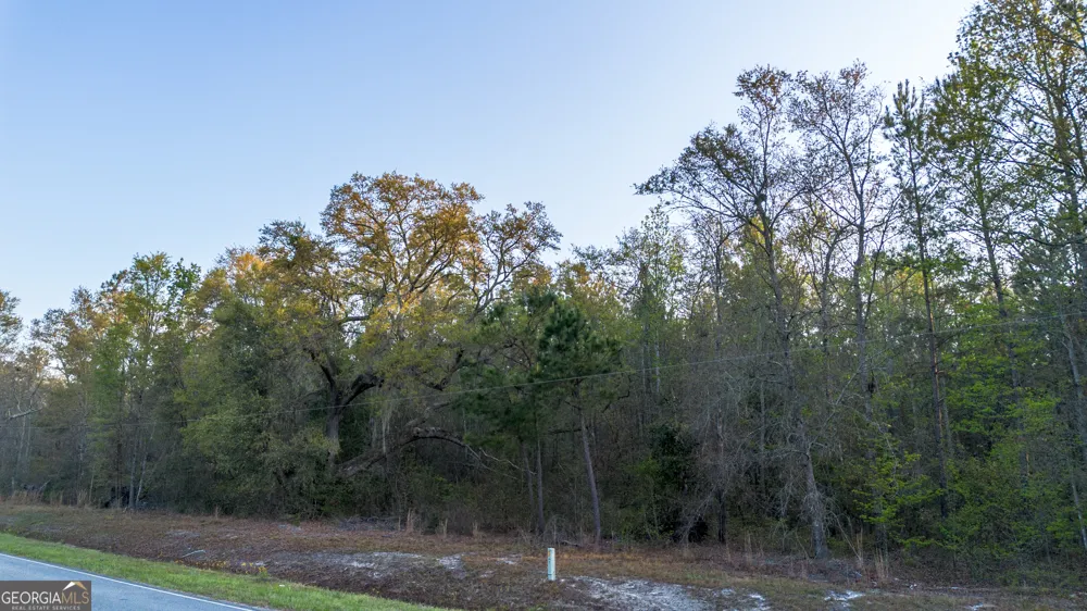 0 Little Mccall RD Rincon, GA 31326