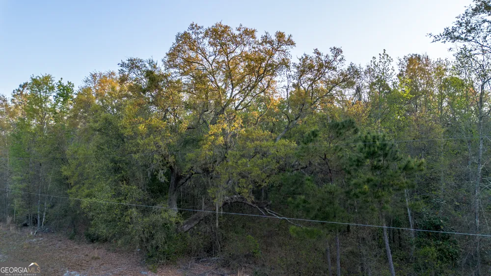 0 Little Mccall RD Rincon, GA 31326