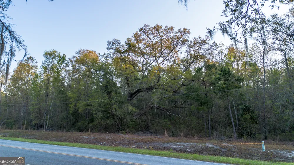 0 Little Mccall RD Rincon, GA 31326