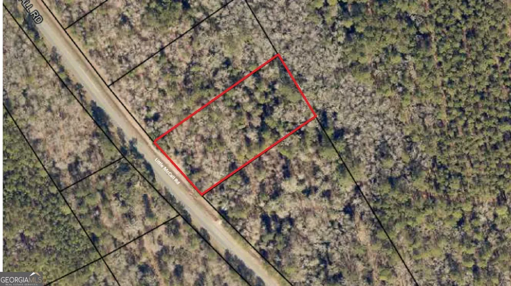 0 Little Mccall RD Rincon, GA 31326