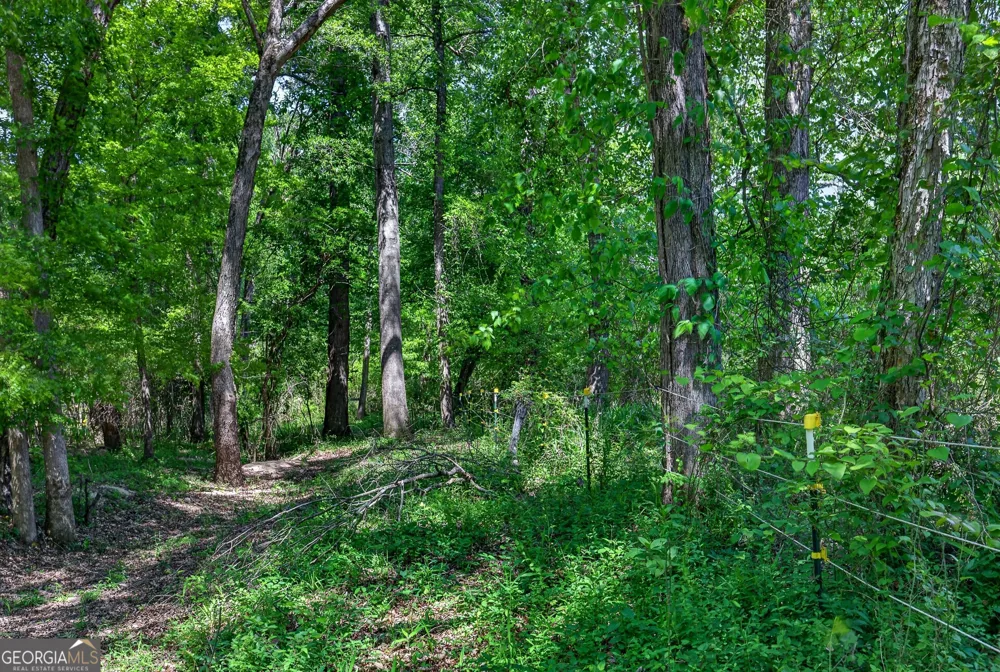 511 W Mcintosh RD Brooks, GA 30205