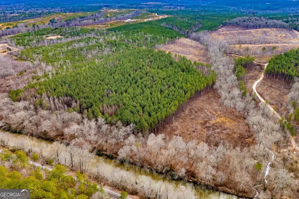 1365 County road 290 Muscadine, AL 36269
