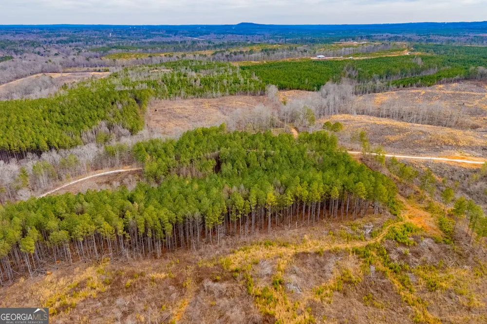 1365 County road 290 Muscadine, AL 36269