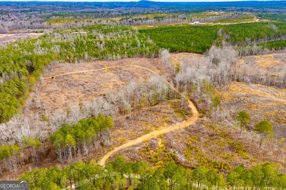 1365 County road 290 Muscadine, AL 36269