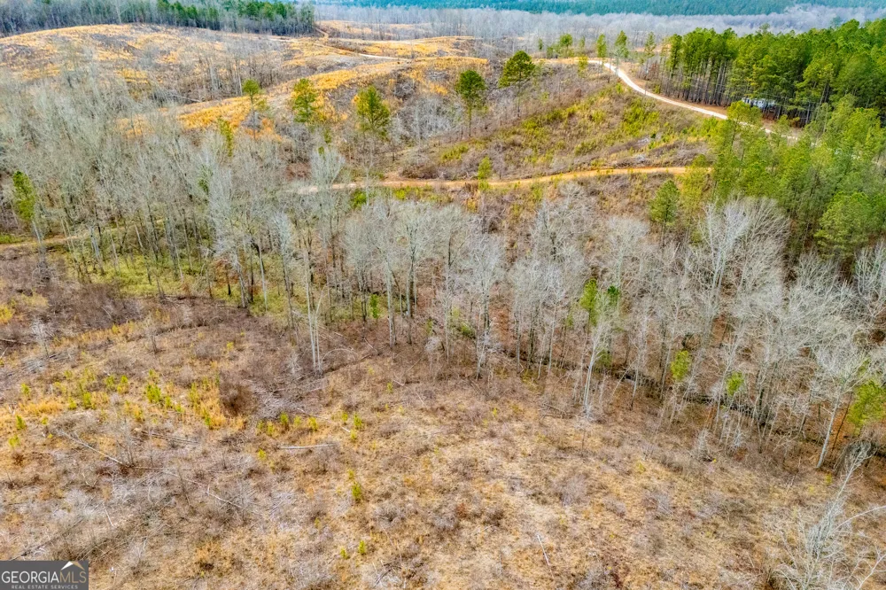 1365 County road 290 Muscadine, AL 36269
