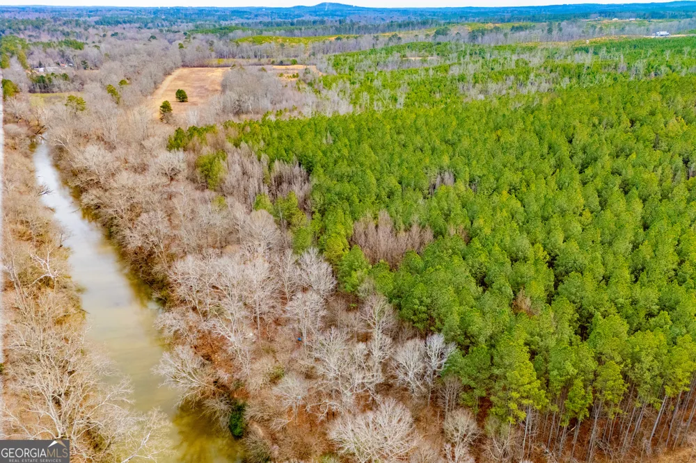1365 County road 290 Muscadine, AL 36269