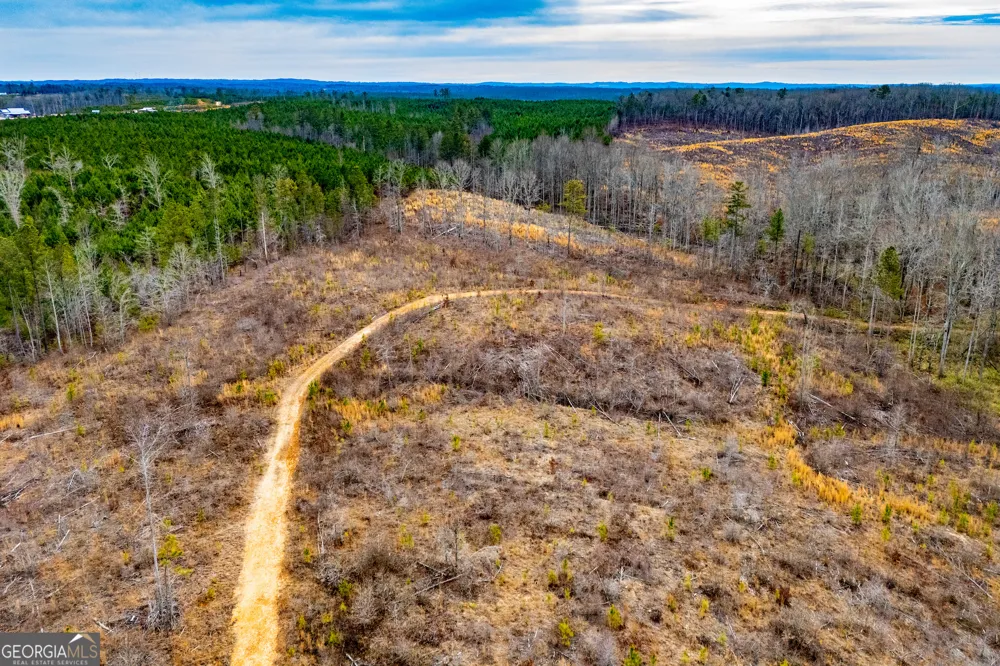 1365 County road 290 Muscadine, AL 36269