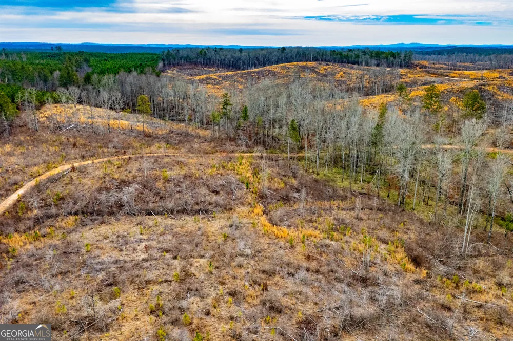 1365 County road 290 Muscadine, AL 36269