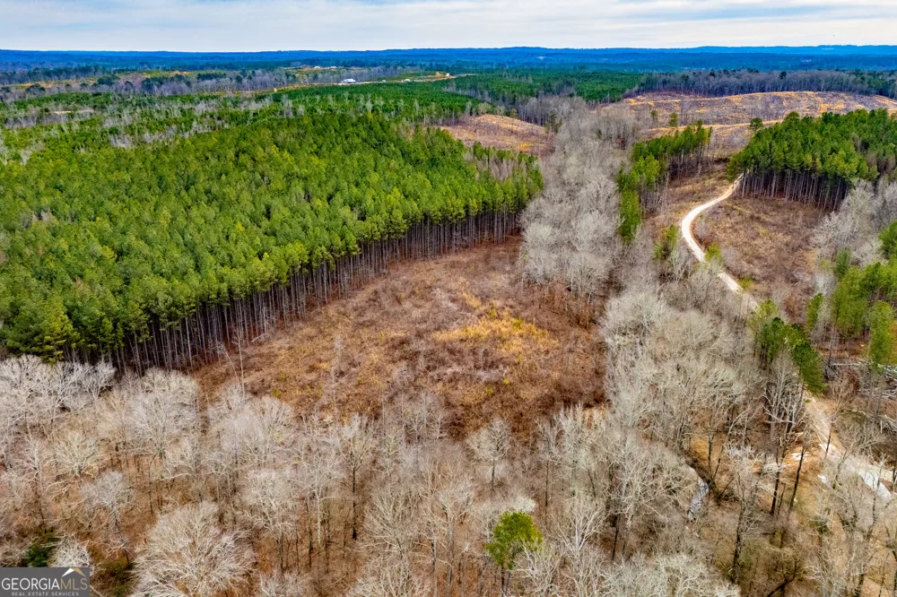 1365 County road 290 Muscadine, AL 36269