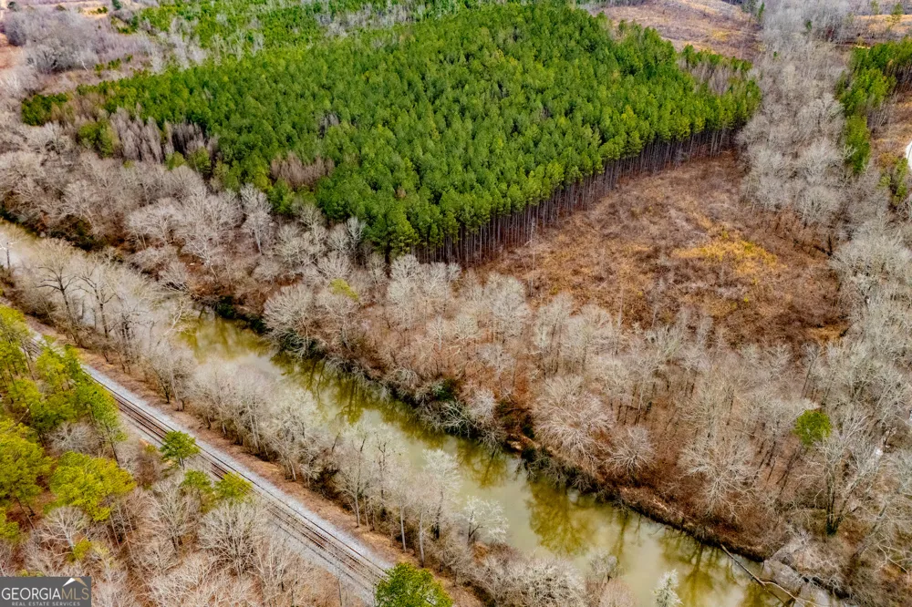 1365 County road 290 Muscadine, AL 36269