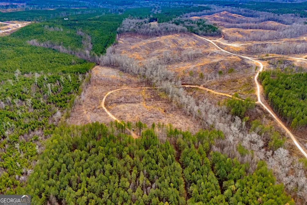 1365 County road 290 Muscadine, AL 36269